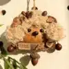 Handmade Woolly Lamb Seed Pod Ornament